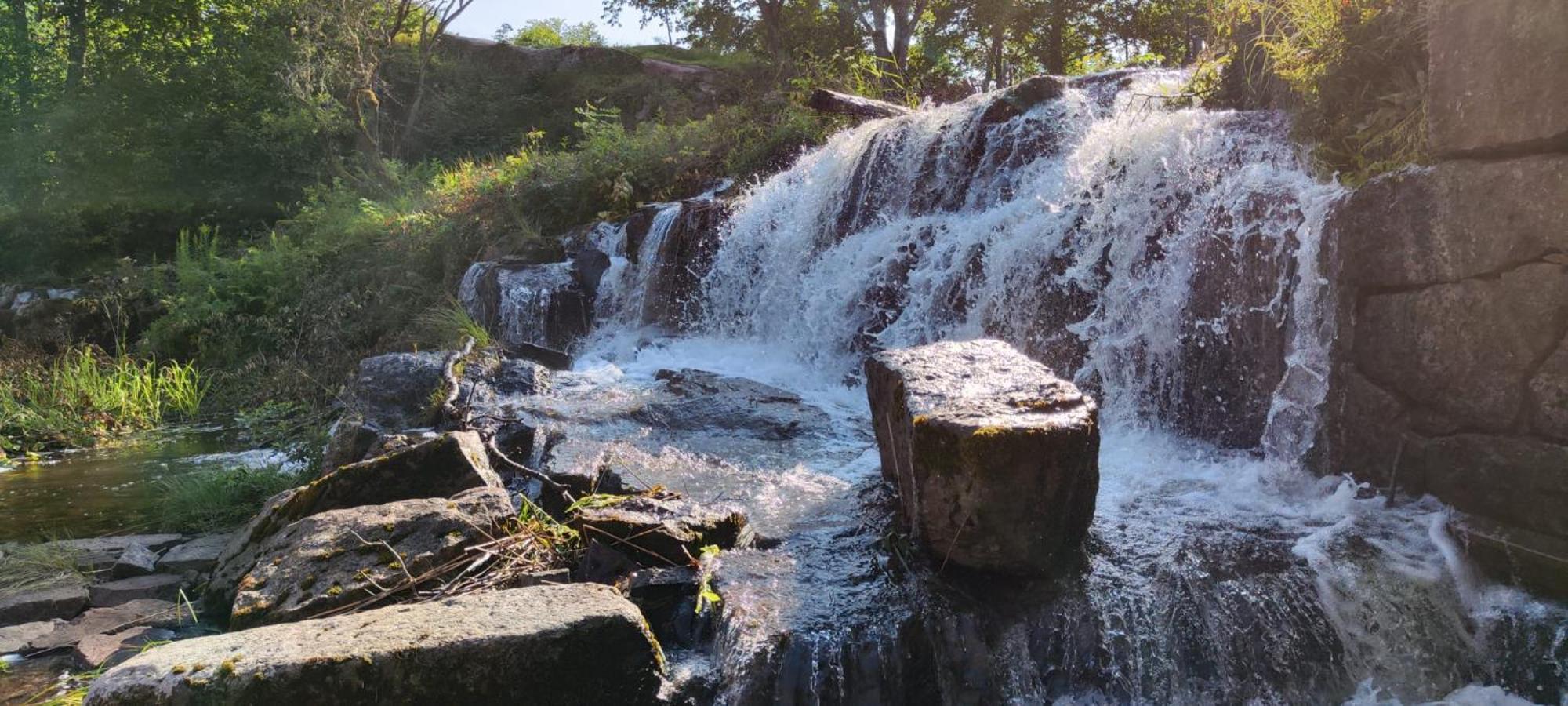 Klaraborg - Rum Och Koek I Borgvik Exteriér fotografie